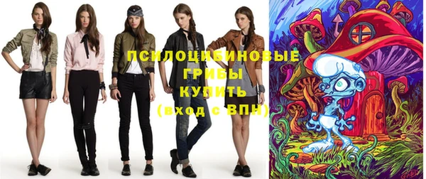 крисы Володарск