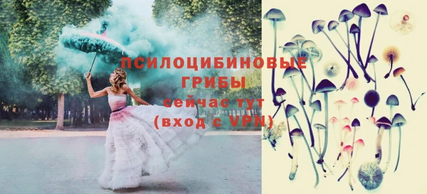 крисы Володарск