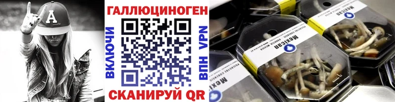 Псилоцибиновые грибы Cubensis  Купить где  Сураж 
